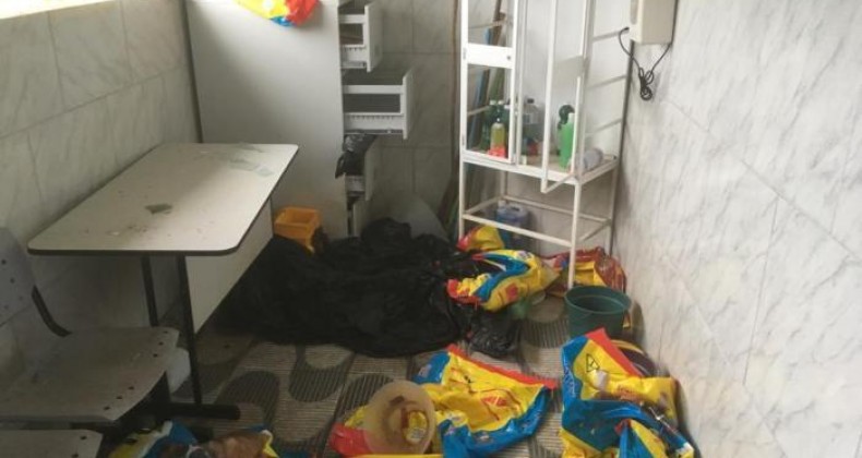 Assaltantes invadem canil e matam cinco cachorros a pauladas no RS