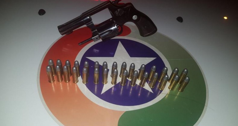 Polícia apreende arma de fogo após denuncia em Pinhalzinho