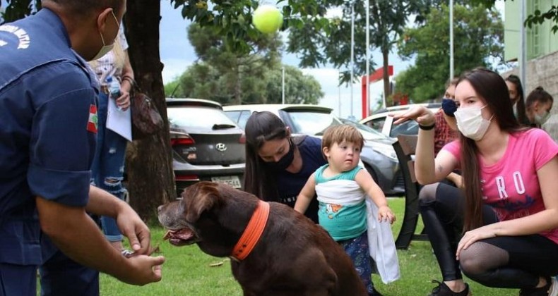 CÃES TERAPEUTAS: ESTIMULANDO CRIANÇAS COM SÍNDROME DE DOWN E PARALISIAS