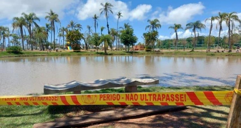 Jacaré faz lago ser interditado em Tijucas; veja vídeo