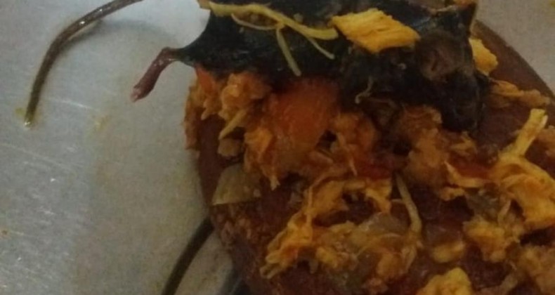 Mulher encontra rato dentro de embalagem de molho de tomate em SC
