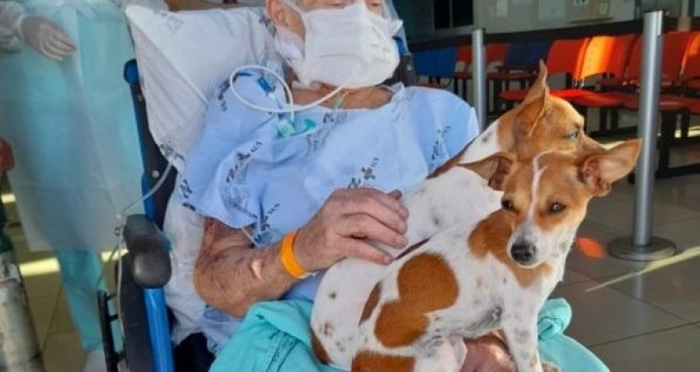 HOSPITALIZADA REALIZA DESEJO AO REVER CACHORRINHOS DE ESTIMAÇÃO
