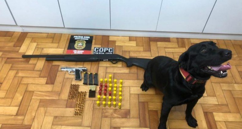 Armas e munições são apreendidas em residência no Oeste de SC