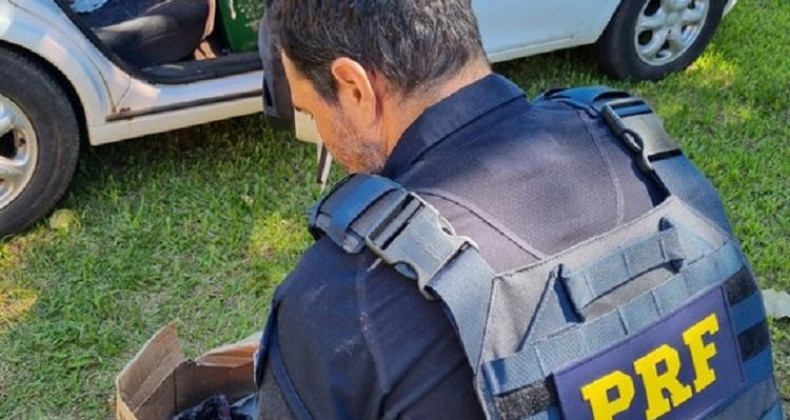 160 QUILOS DE AMETISTA DEIXAM DE CAIR NAS MÃOS DO CRIME