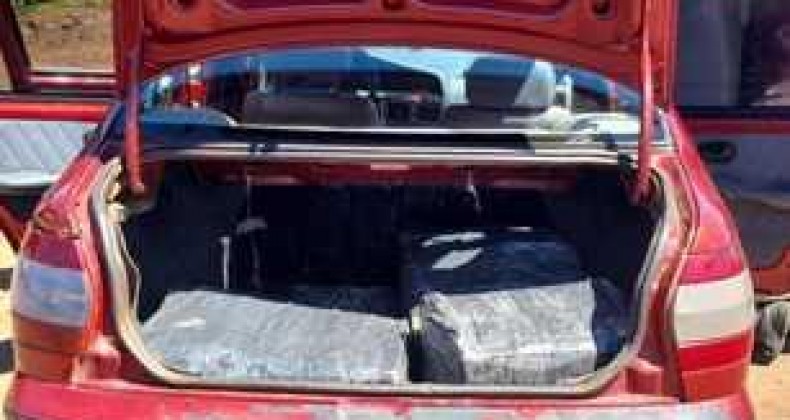 Ação conjunta apreende 100 kg de maconha no interior de Coronel Freitas