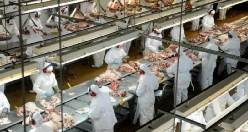 Em crise, produtores de carne suína sugerem lei de incentivo ao consumo