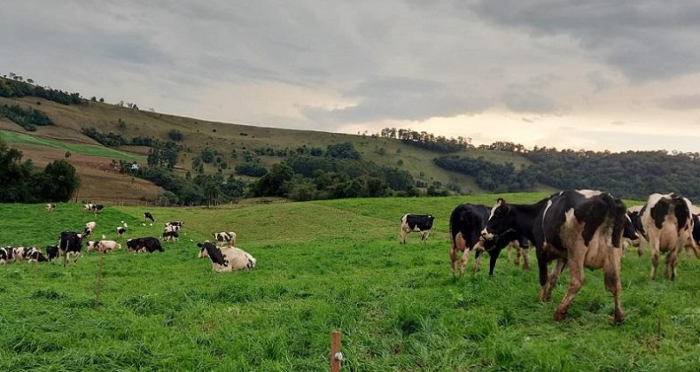 IMPOSTO NO LEITE: INDÚSTRIA E AGRICULTOR COMENTAM IMPACTOS DA PRODUÇÃO