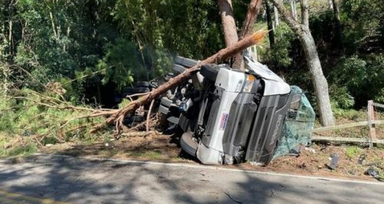 Motorista morre após carreta colidir contra árvores na SC-390