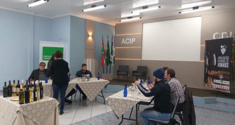 Vinhos de Pinhalzinho foram avaliados pelo Sebrae na última semana
