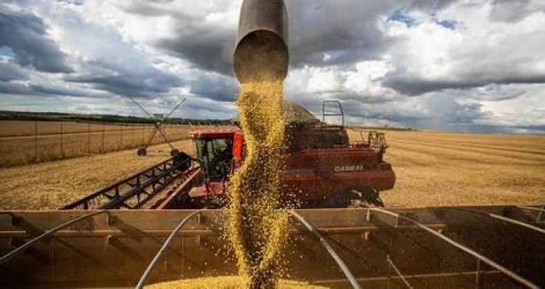 Plano Safra 2022/2023 anuncia R$ 340,8 bilhões para a agropecuária