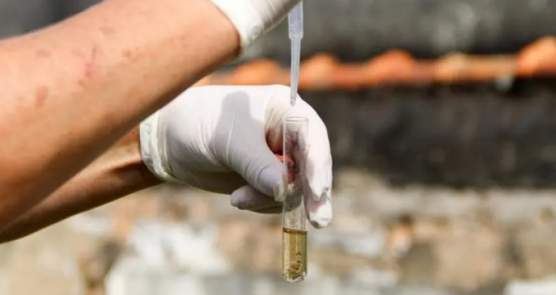 Santa Catarina é o segundo estado com mais mortes por dengue em 2022
