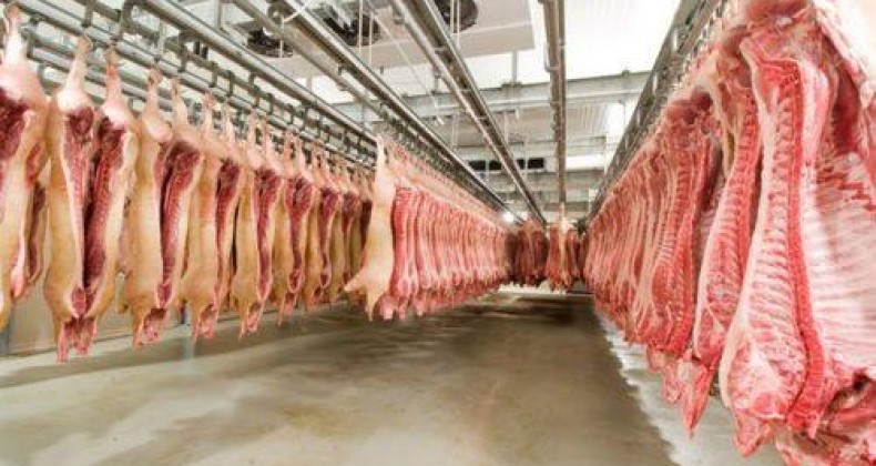 Aurora Coop embarca o 1º contêiner de carne suína para o Canadá