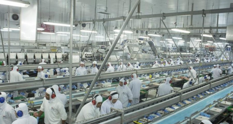 Exportações de carne de frango crescem 6% em 2022