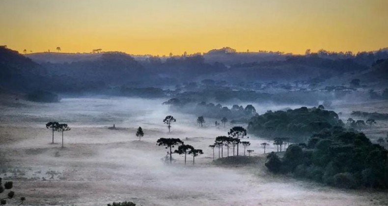 INVERNO PODE TER NEVE PELA PRIMEIRA VEZ NESTA SEMANA, EM SANTA CATARINA
