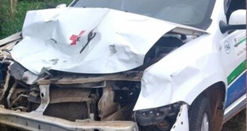 Perigo na estrada: Veículo de Saúde atropela vaca solta em rodovia