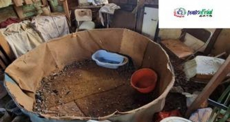 Idoso é preso por maus tratos aos animais após polícia flagrar “rinheiro”