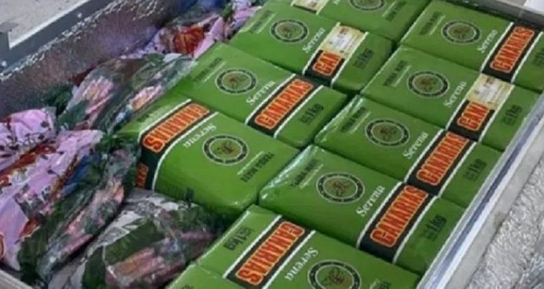 Seleção argentina leva erva-mate produzida no RS para o Catar