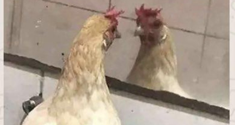 EMPRESÁRIA FAZ DESABAFO APÓS MOMENTO DIFÍCIL: “ESTOU SEM BABÁ”