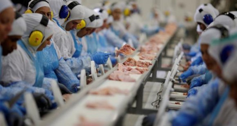 Brasil passa a exportar carne suína para o Peru