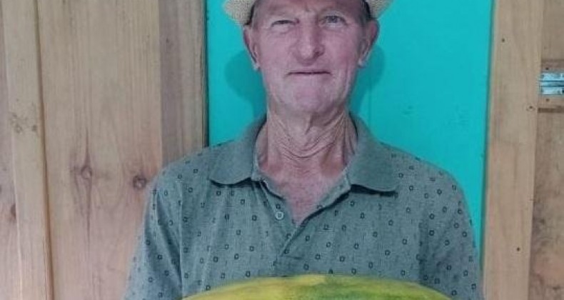 Colheita de respeito: produtor acha melão com mais de oito quilos