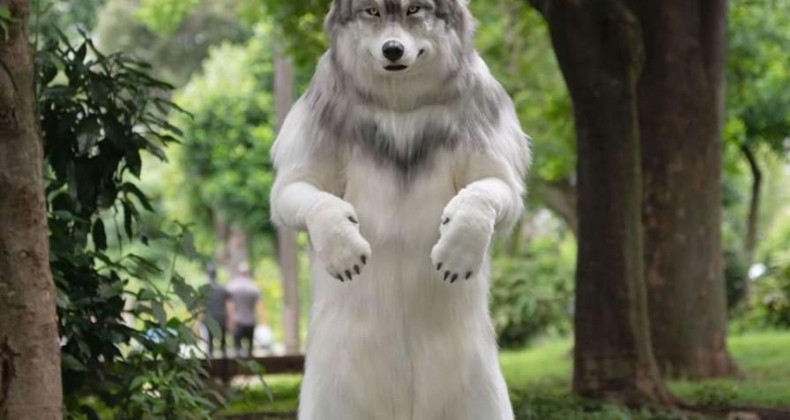 HOMEM GASTA MAIS DE R$ 120 MIL PARA FICAR PARECIDO COM UM LOBO