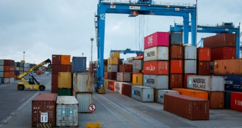 SC é o maior produtor e exportador de codornas da América Latina