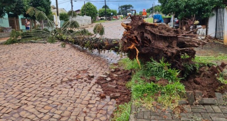 Tempestade atinge municípios do Oeste de SC e deixa estragos