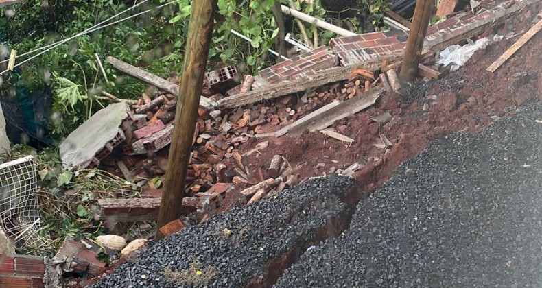 Animais são resgatados após serem soterrados em Pinhalzinho