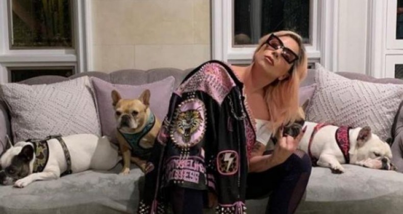 Mulher envolvida em roubo de pets quer R$ 6 milhões de Lady Gaga