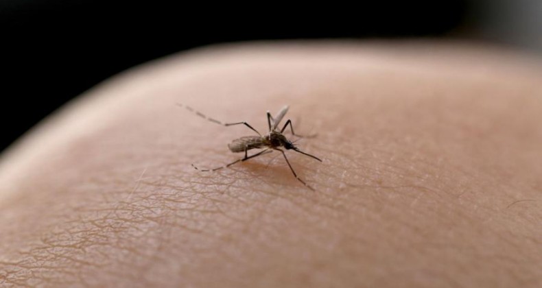 Joinville confirma segunda morte por dengue de 2023