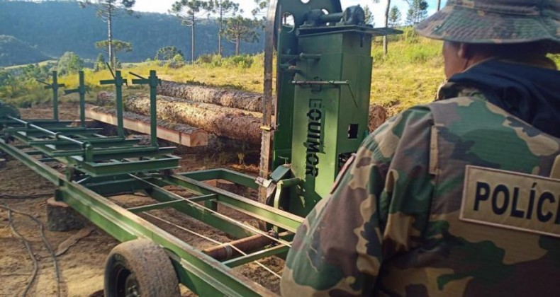 Polícia recebe denúncia e flagra corte ilegal de pinheiro em Bom Retiro