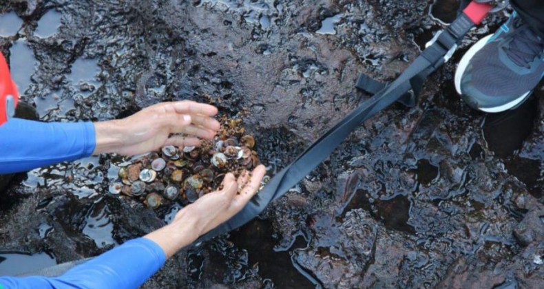 Voluntários retiram quase 160kg de moedas das Cataratas do Iguaçu