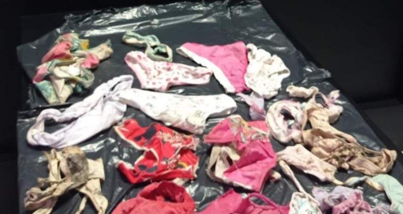 Polícia acha calcinhas furtadas de varais e investiga estupro de égua